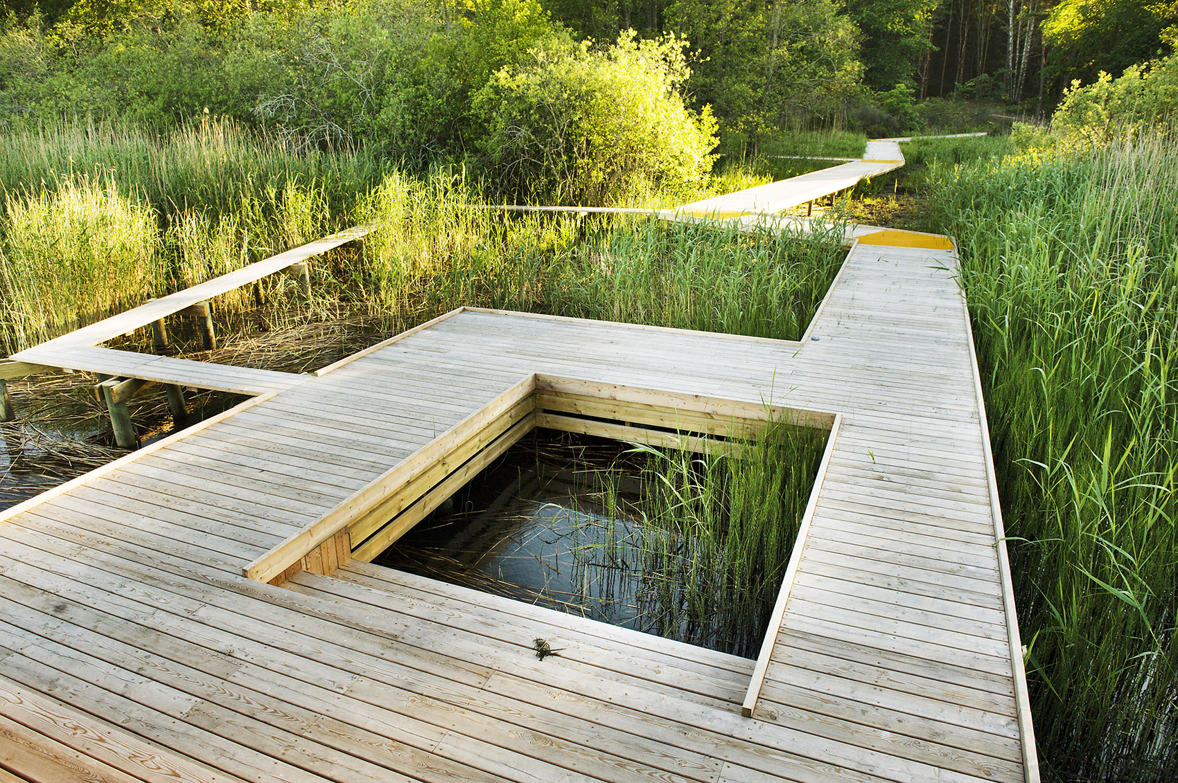 The Arninge-Ullna Riparian Forest Park by Topia Landskapsarkitektur AB ...