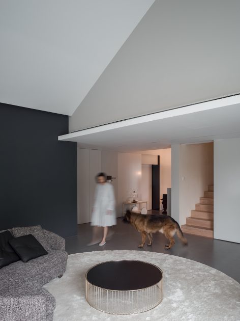 DogHouse aboutarch