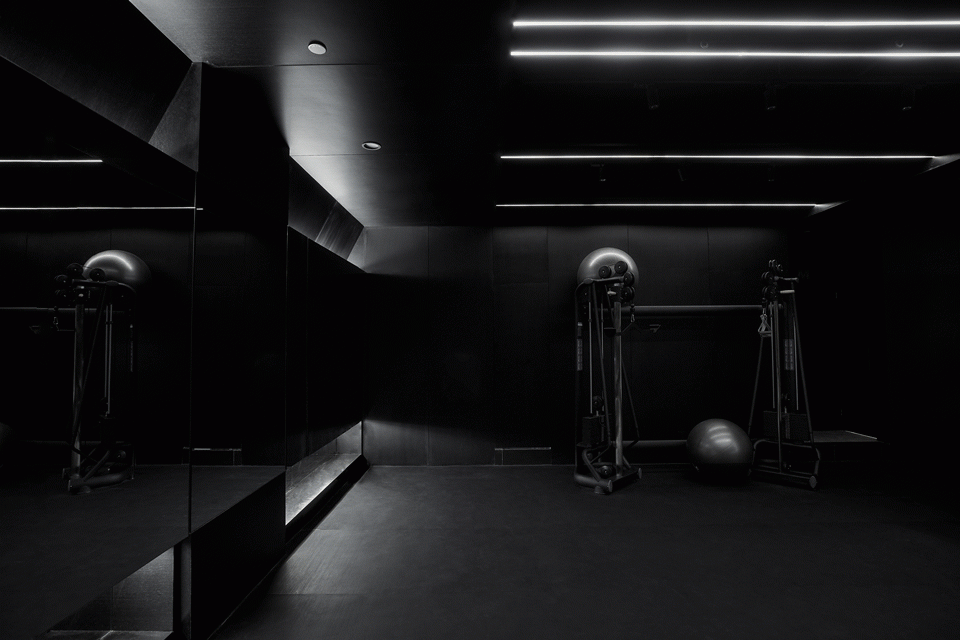 Flex fitness DAS 1