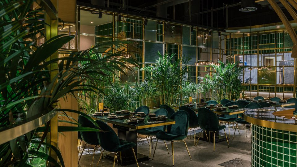 run SEASON Coconut Chicken Hot Pot by TURING DESIGN