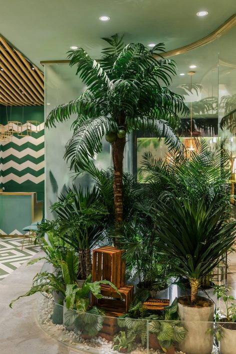 run SEASON Coconut Chicken Hot Pot by TURING DESIGN