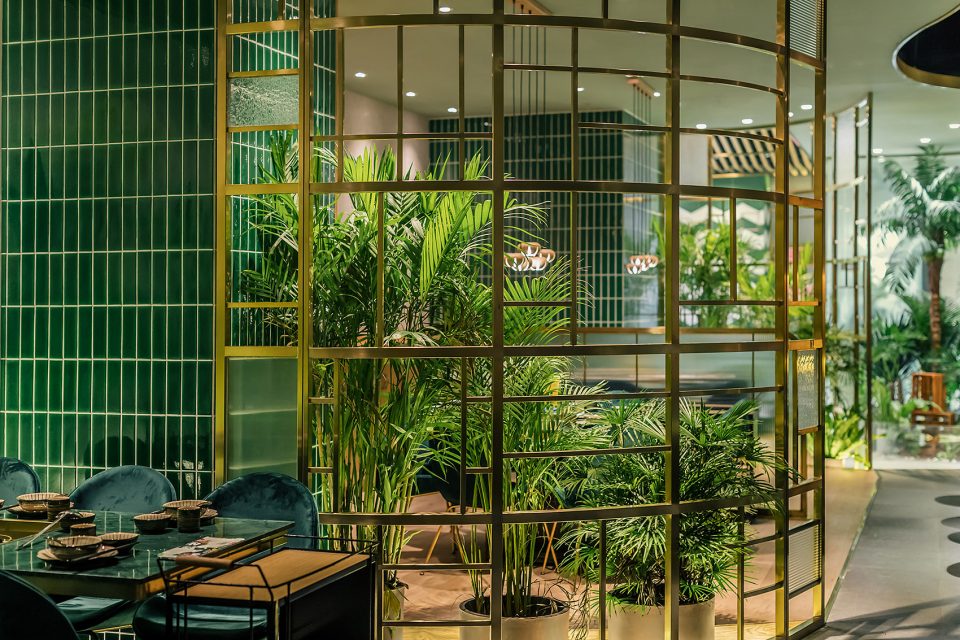 run SEASON Coconut Chicken Hot Pot by TURING DESIGN