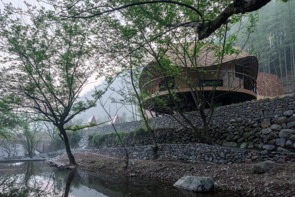 MONOARCIH TREEWOW 7