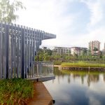 琴江 - 老河道湿地文化公园，广东 / 棕榈设计集团
