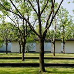 OFFICE真相专辑 NO.21 — 张唐景观