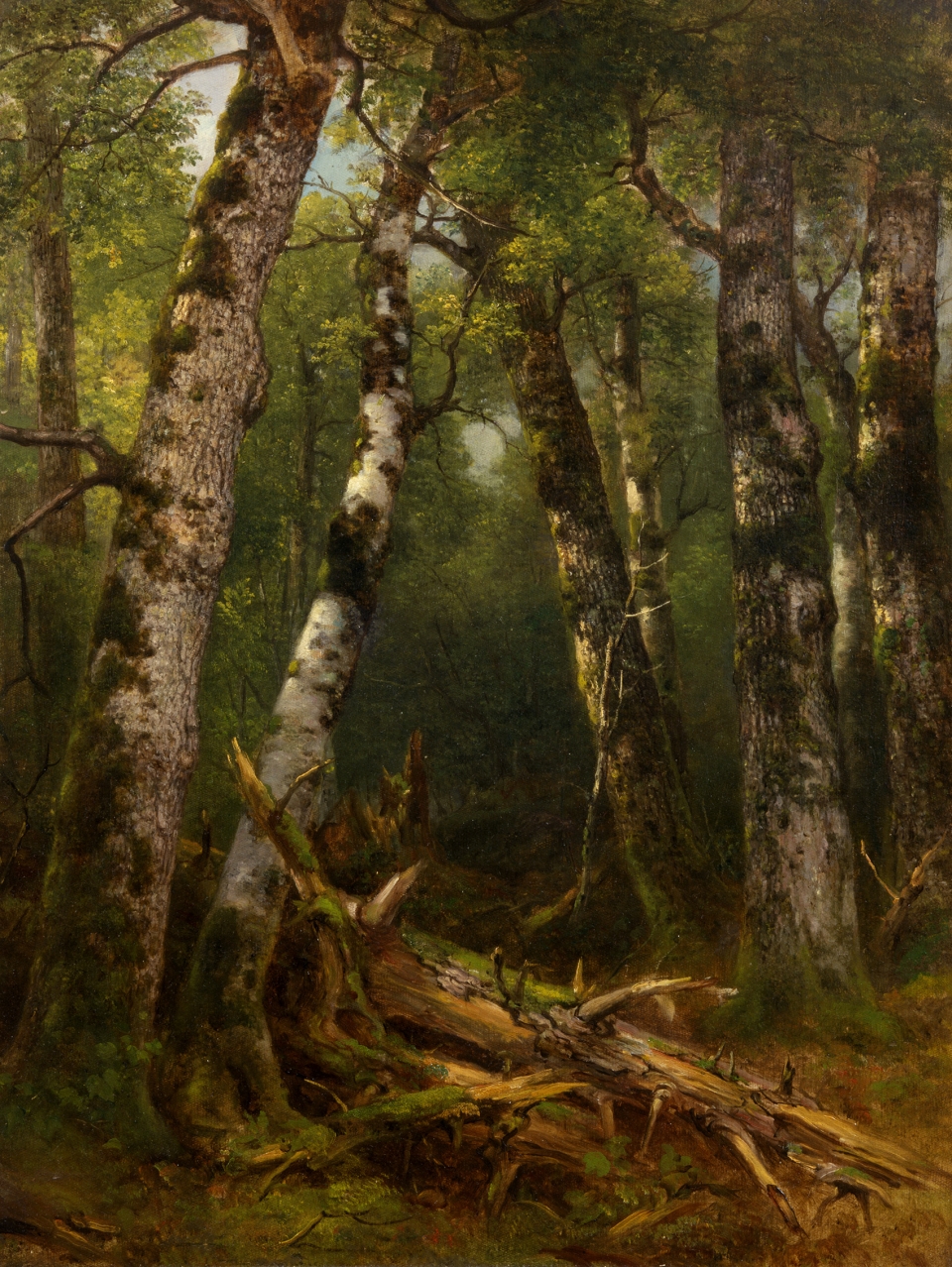 the poetry of nature hudson river school landscapes from the new york historical society