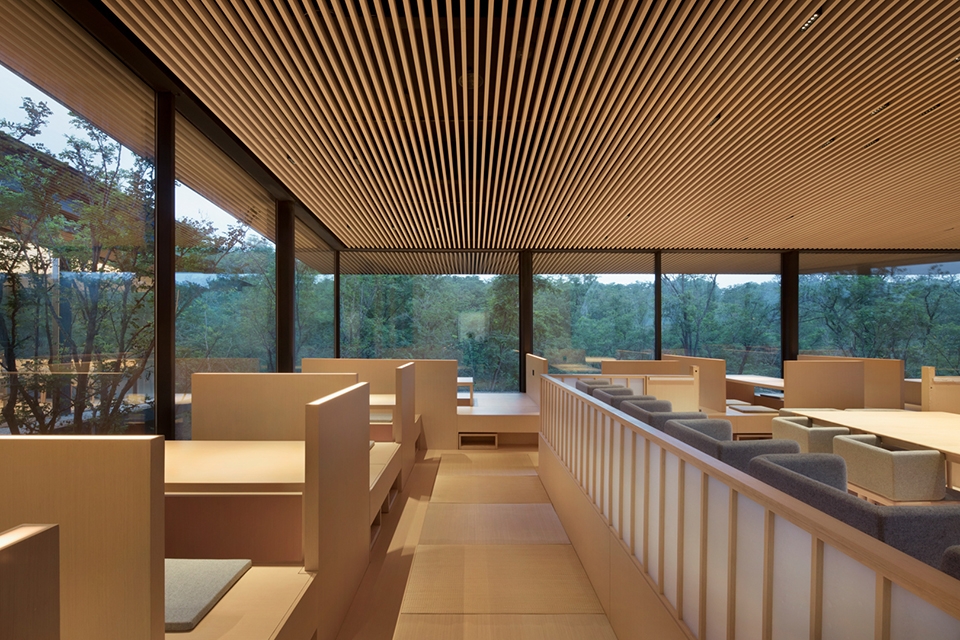 forest dining club china by plat asia