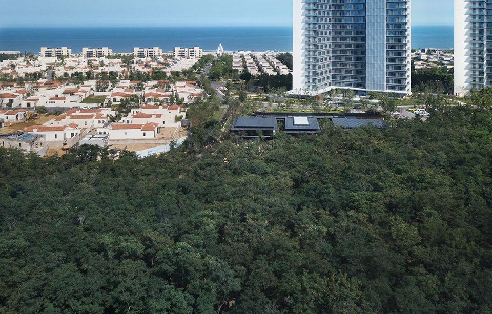 forest dining club china by plat asia