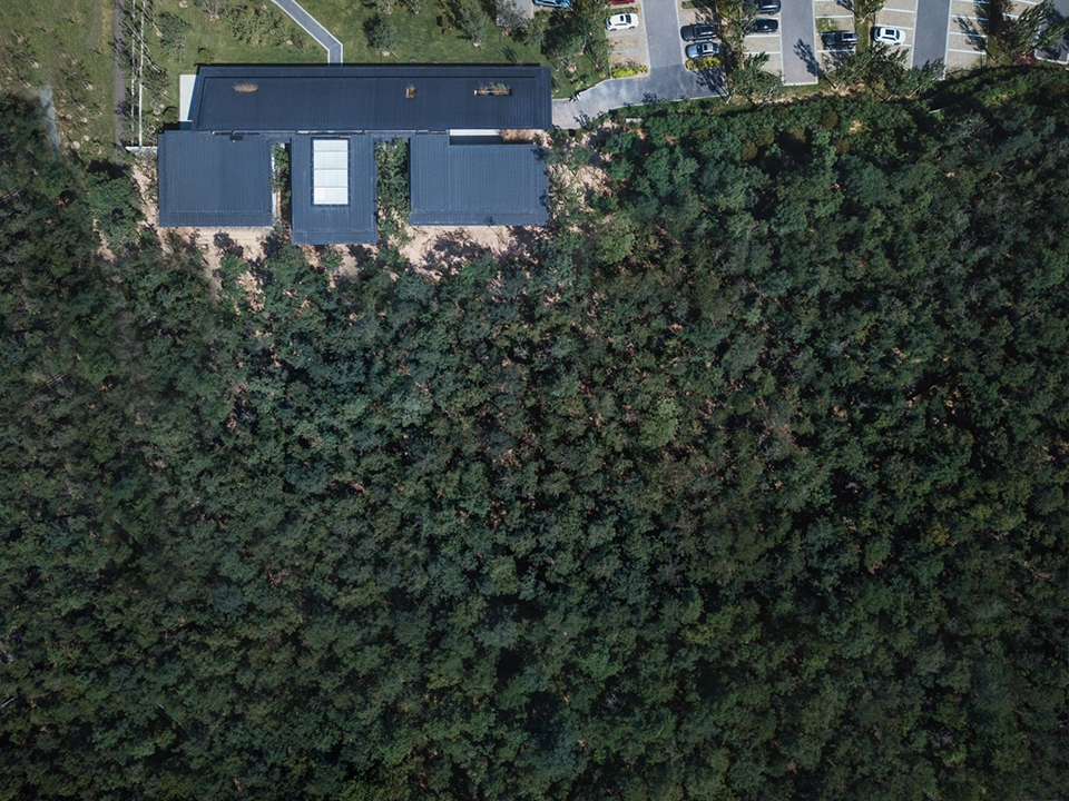 forest dining club china by plat asia