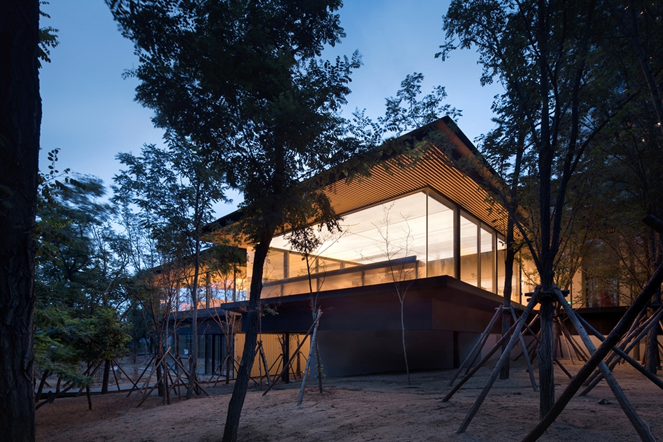 forest dining club china by plat asia