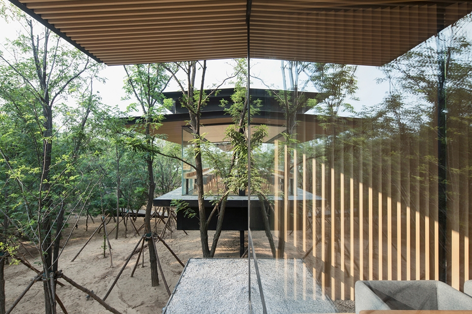 forest dining club china by plat asia