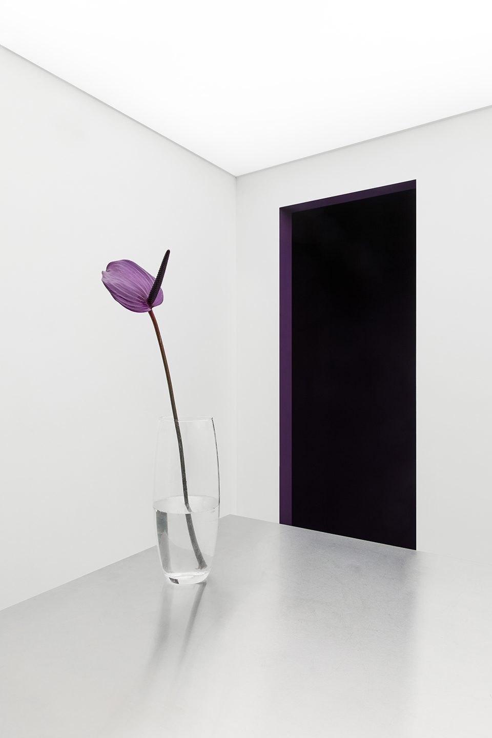 Guapa flower shop by Eduard Eremchuk