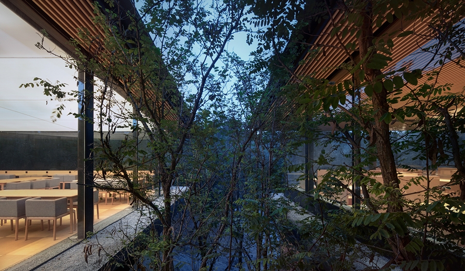forest dining club china by plat asia