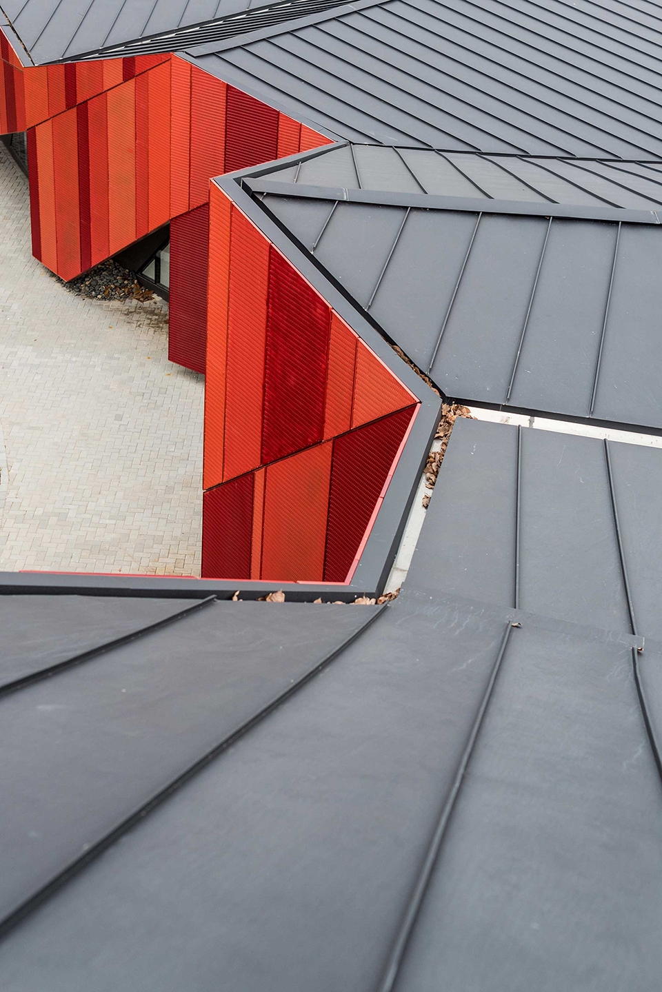 red hill gallery by moa architects formzero