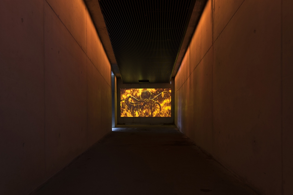 007 elements solden by obermoser arch omo zt gmbh