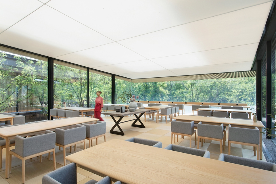 forest dining club china by plat asia