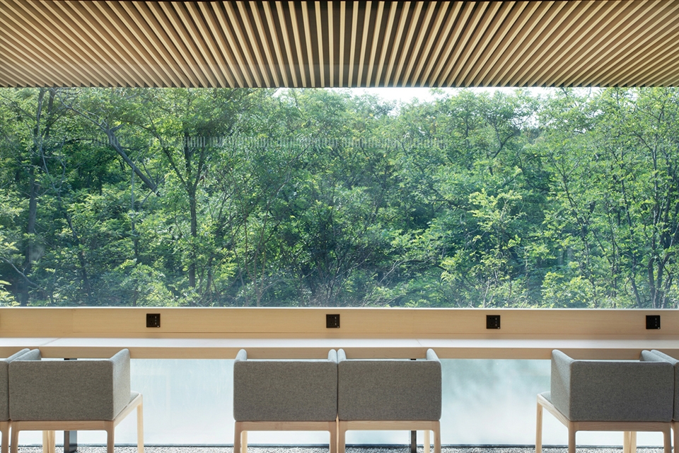 forest dining club china by plat asia
