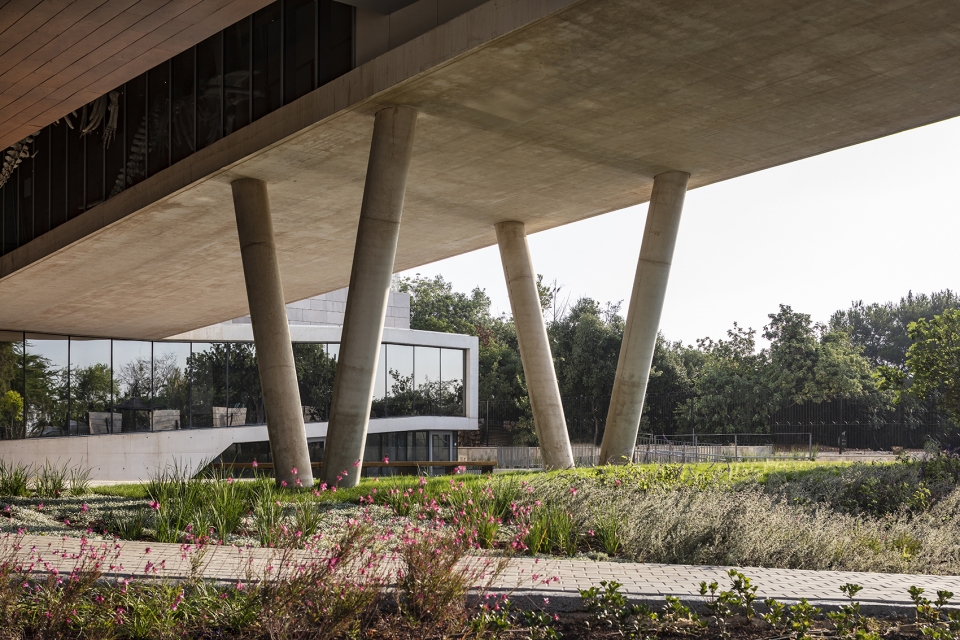 The Steinhardt Museum of Natural History Kimmel Eshkolot Architects