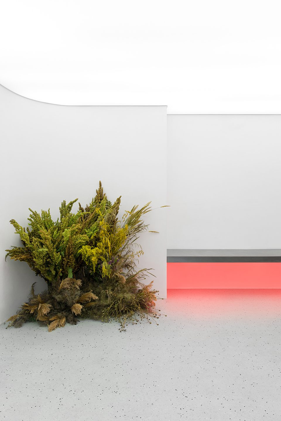 Guapa flower shop by Eduard Eremchuk