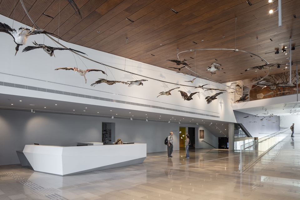 The Steinhardt Museum of Natural History Kimmel Eshkolot Architects