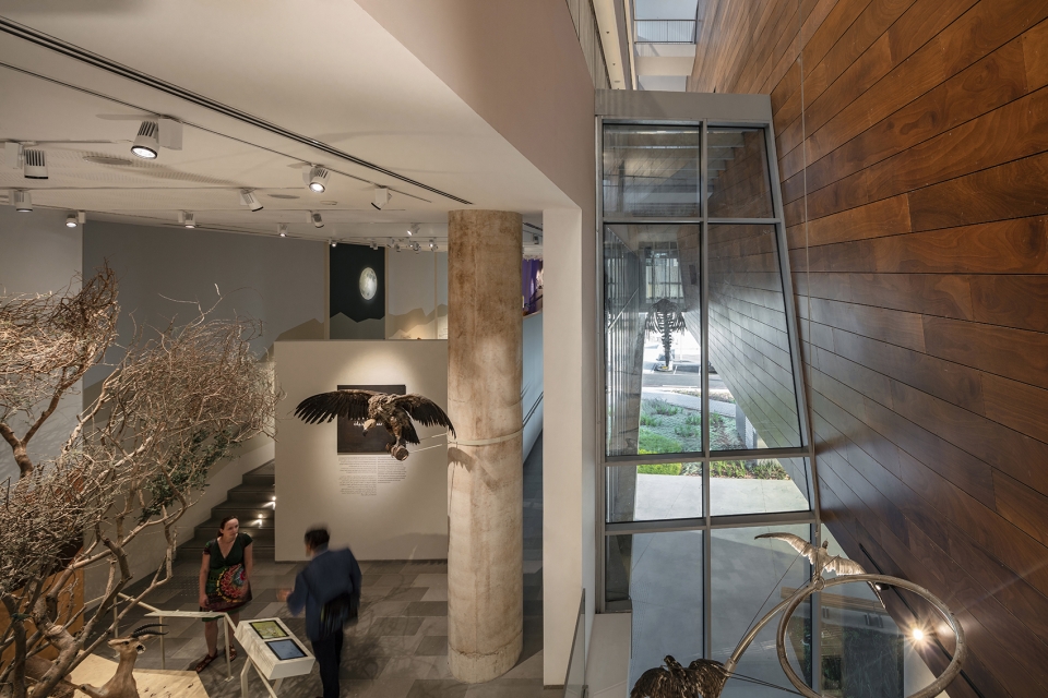 The Steinhardt Museum of Natural History Kimmel Eshkolot Architects
