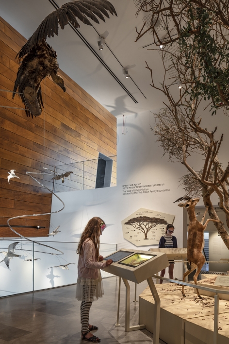 The Steinhardt Museum of Natural History Kimmel Eshkolot Architects