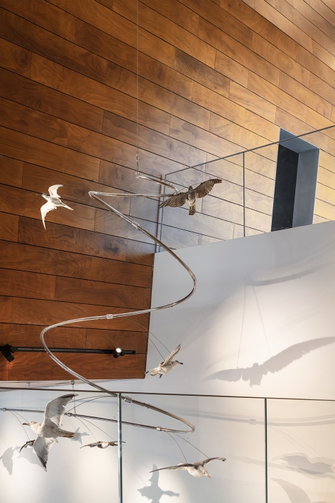 The Steinhardt Museum of Natural History Kimmel Eshkolot Architects