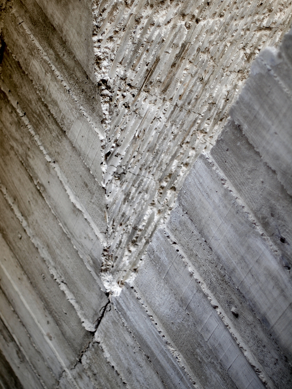 visitors center at the archaeological site of empuries by fuses viader arquitectes