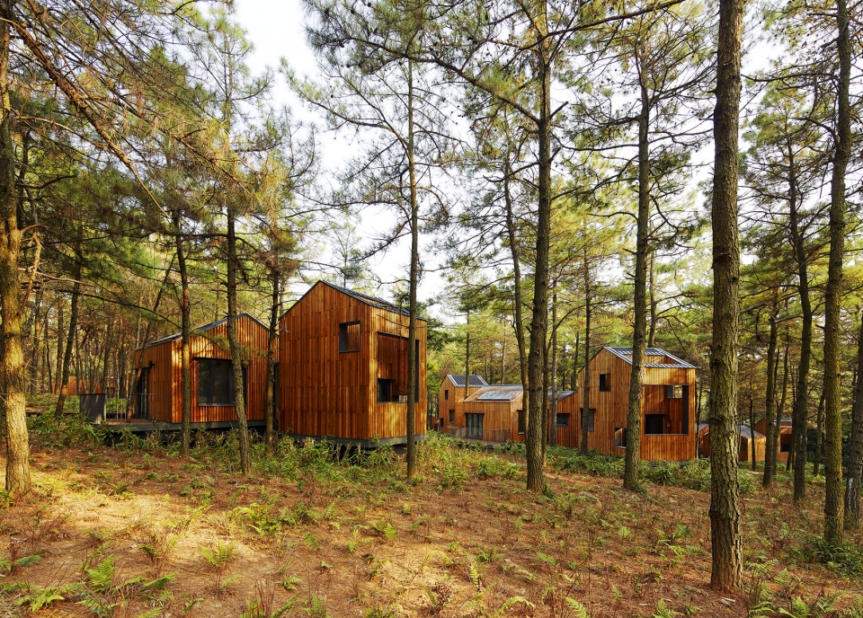 pine pillow retreat BAU