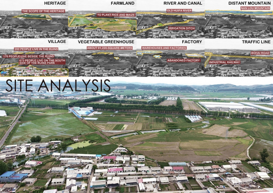 site analysis