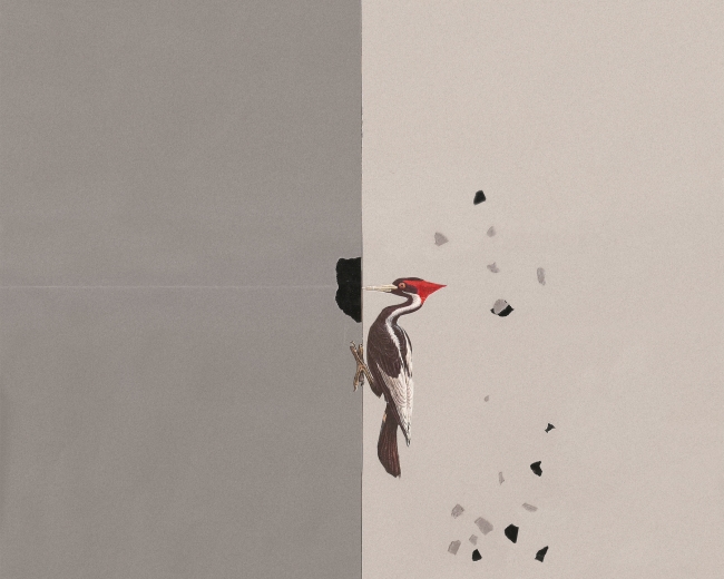 Handmade collage Fitacola