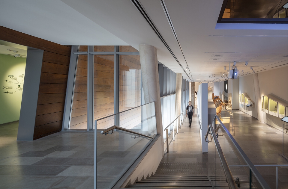 The Steinhardt Museum of Natural History Kimmel Eshkolot Architects