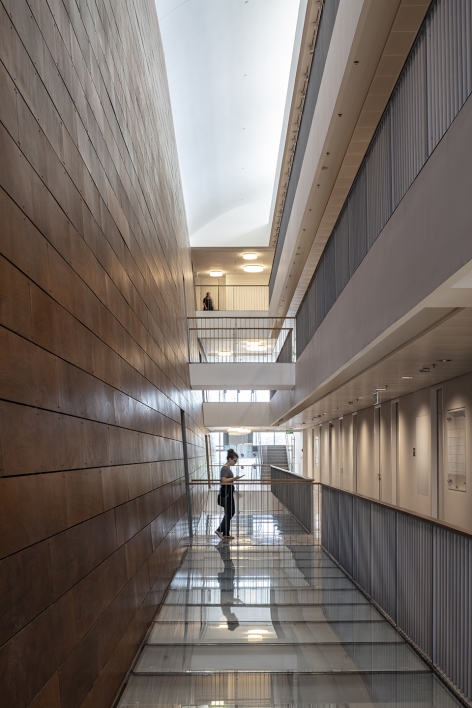 The Steinhardt Museum of Natural History Kimmel Eshkolot Architects