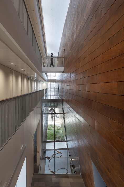 The Steinhardt Museum of Natural History Kimmel Eshkolot Architects