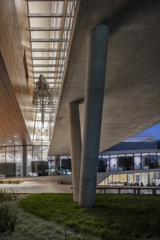 The Steinhardt Museum of Natural History Kimmel Eshkolot Architects