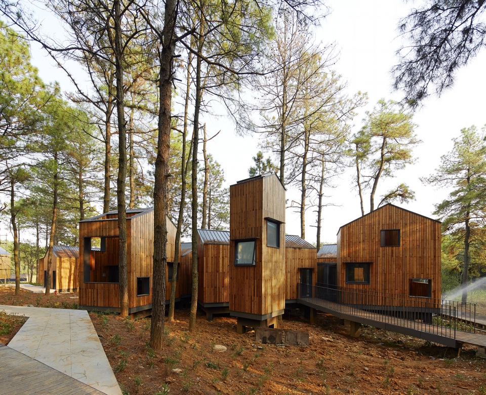 pine pillow retreat BAU