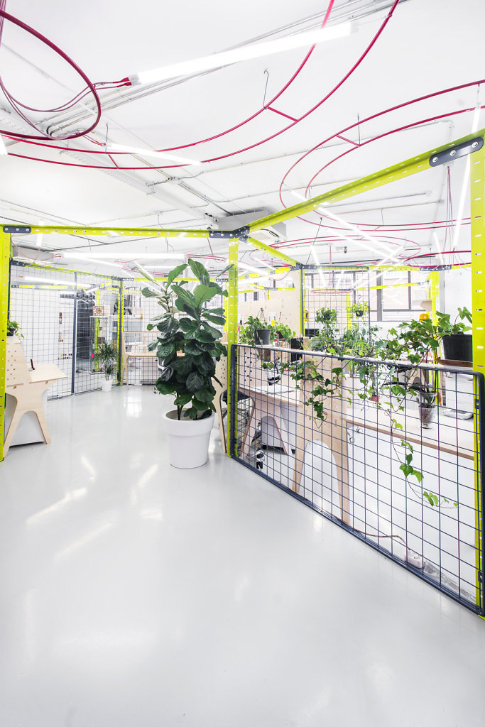 ill. Design Project by IED Innovation Lab