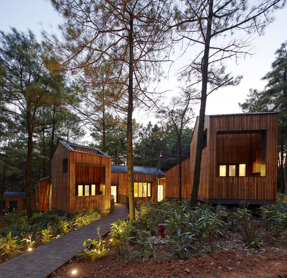 pine pillow retreat BAU