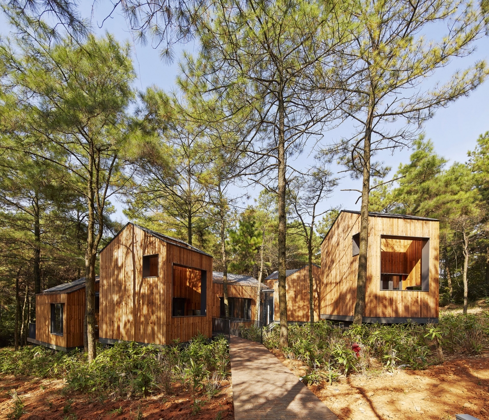 pine pillow retreat BAU