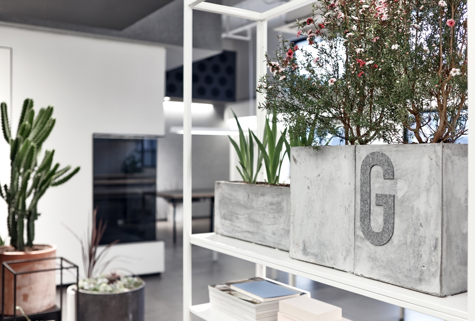 gooood interview liukai rigi office3