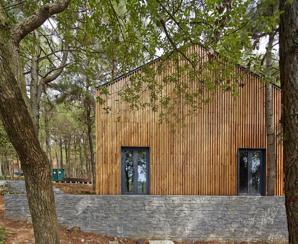 pine pillow retreat BAU