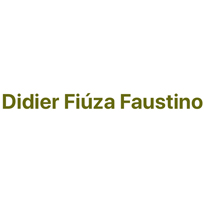 Didier Faustino