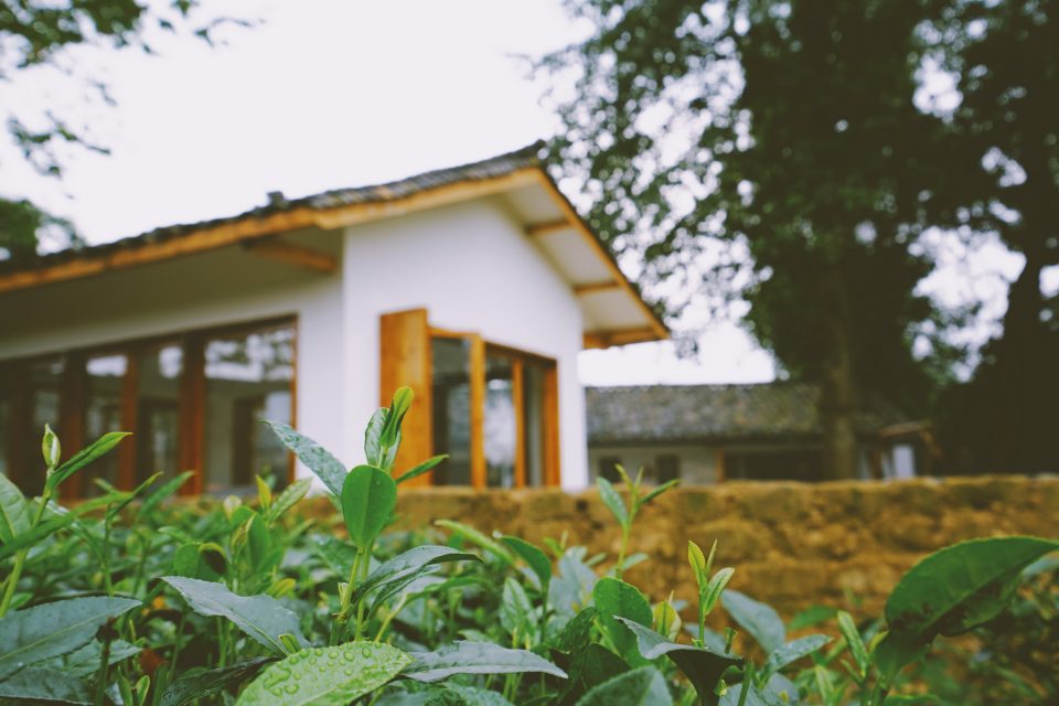 Tea time courtyard China by Shall design