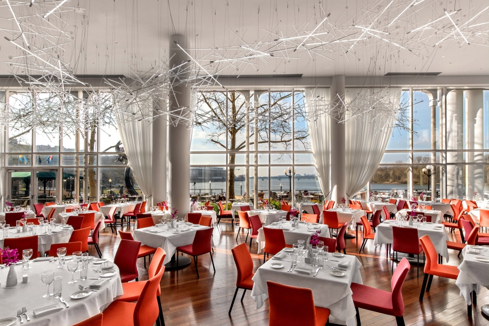 Sequoia U.S.A by Jeffrey Beers International
