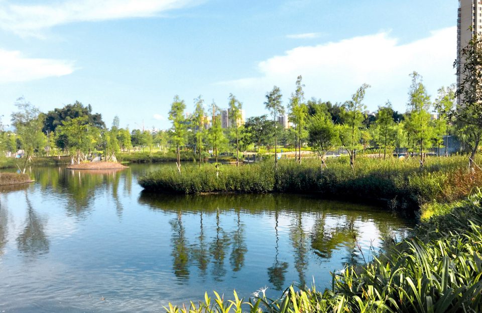 Qinjiang Riverside Wetland Park Guang dong by Palm Design