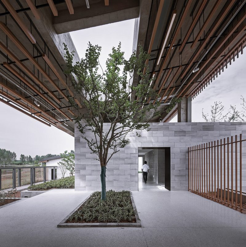 Tingrui Town The culture reception hall in Doushanyi China by UAO