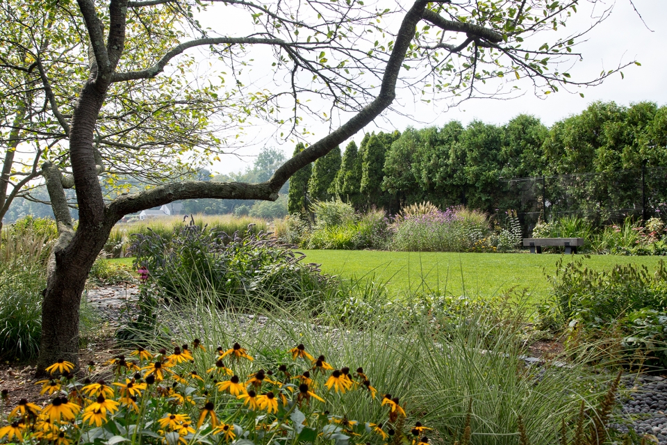 Connecticut US Project Ian Barker Gardens