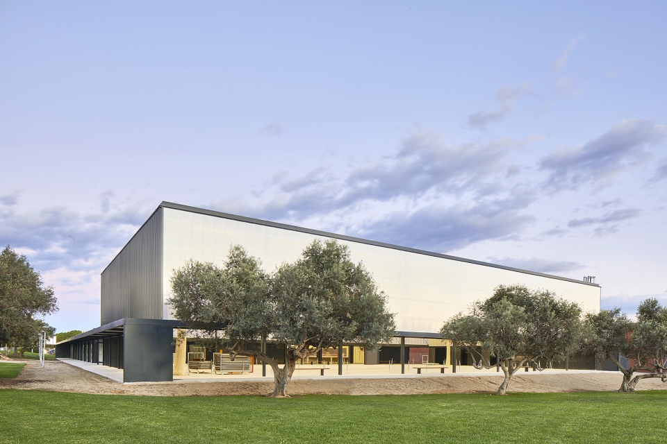 interior reform and expansion of the vila seca municipal sports pavilion by nam arquitectura