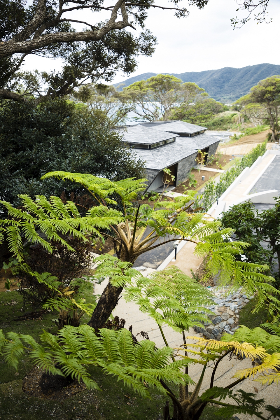 nest at amami beach villas by atelier tekuto ben matsuno amami design firm