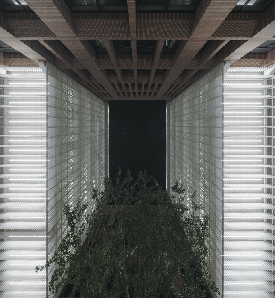 senior citizen university of fengxian district shanghai china by atelier gom